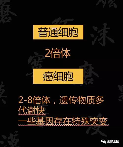 圖片5.png