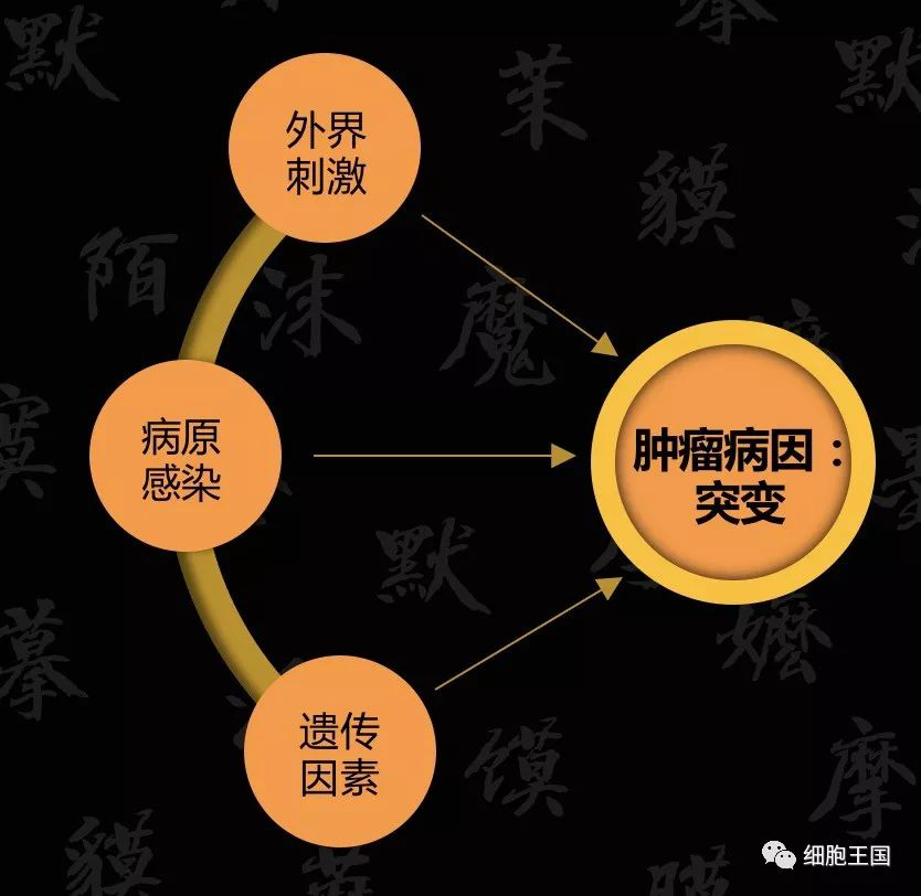 圖片9.png