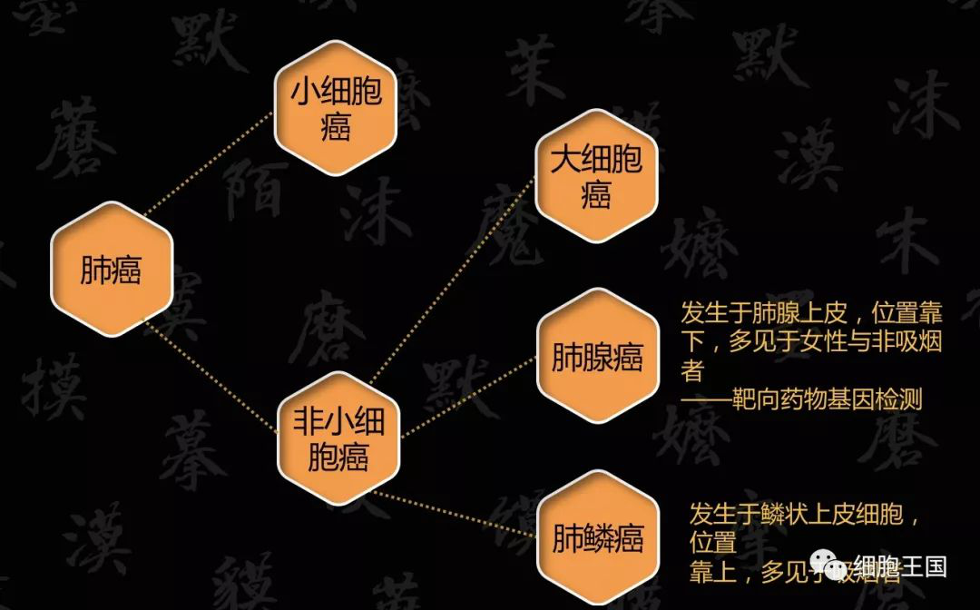 圖片10.png