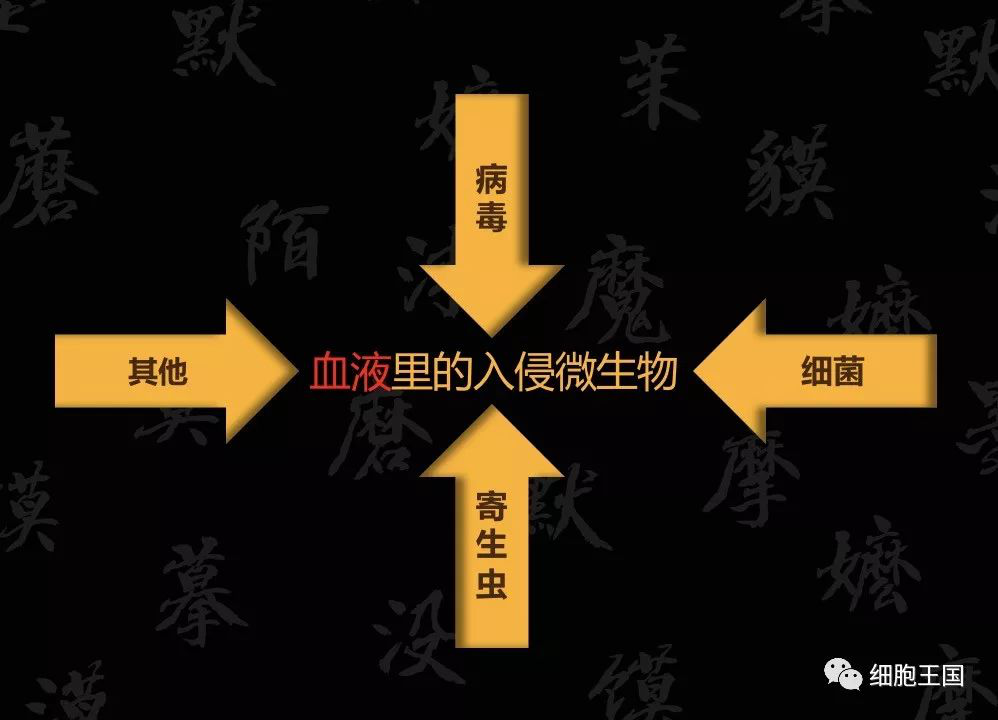 圖片14.png